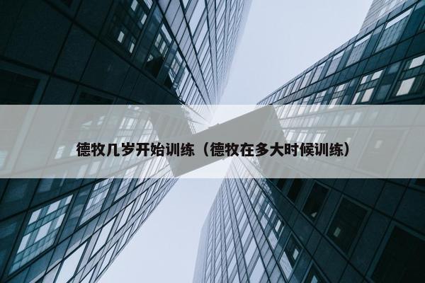 德牧几岁开始训练（德牧在多大时候训练）