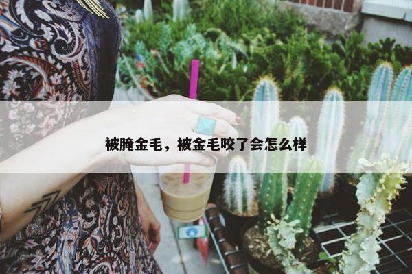 被腌金毛，被金毛咬了会怎么样