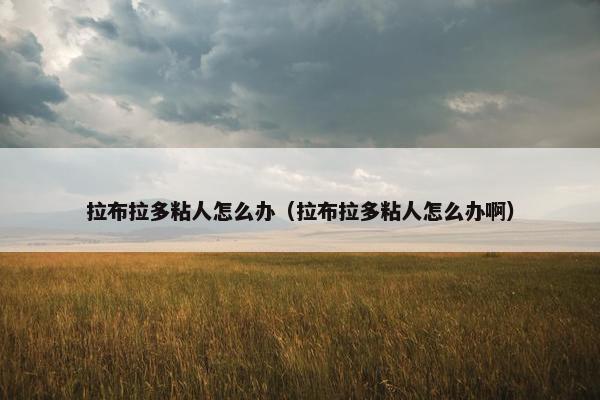 拉布拉多粘人怎么办（拉布拉多粘人怎么办啊）
