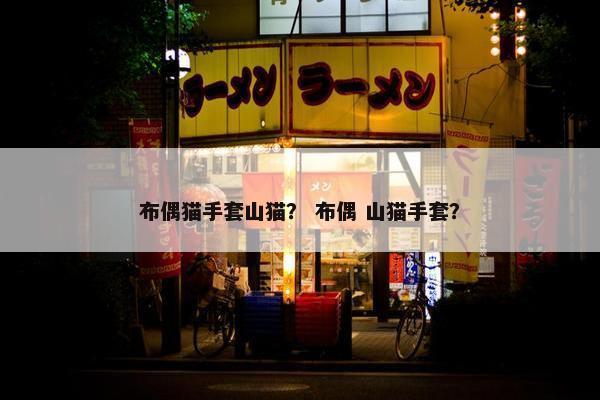布偶猫手套山猫？ 布偶 山猫手套？