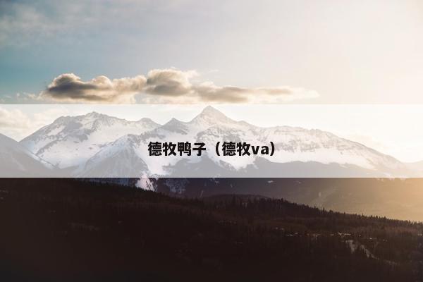 德牧鸭子（德牧va）