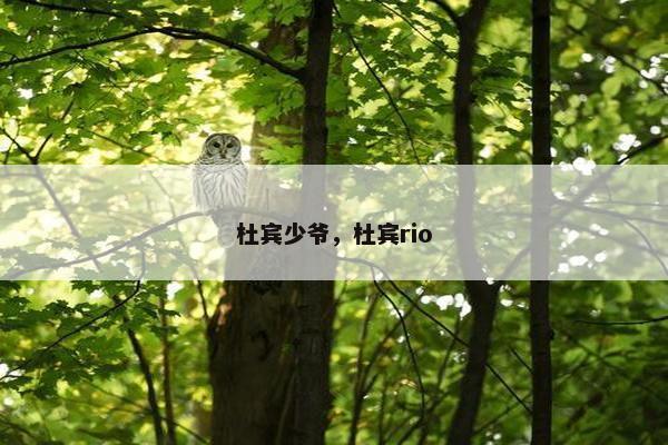 杜宾少爷，杜宾rio