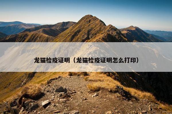 龙猫检疫证明（龙猫检疫证明怎么打印）