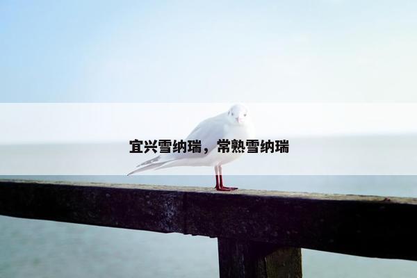 宜兴雪纳瑞，常熟雪纳瑞