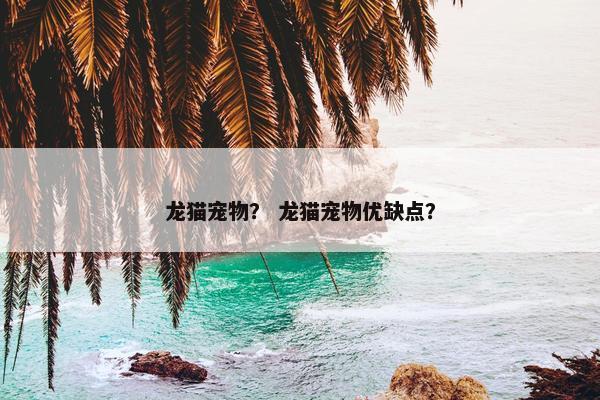 龙猫宠物？ 龙猫宠物优缺点？