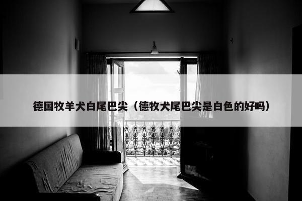 德国牧羊犬白尾巴尖（德牧犬尾巴尖是白色的好吗）
