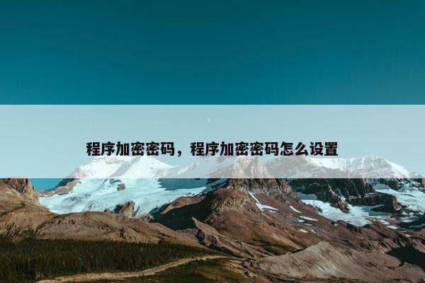 程序加密密码，程序加密密码怎么设置