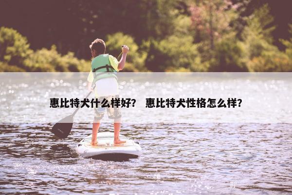 惠比特犬什么样好？ 惠比特犬性格怎么样？