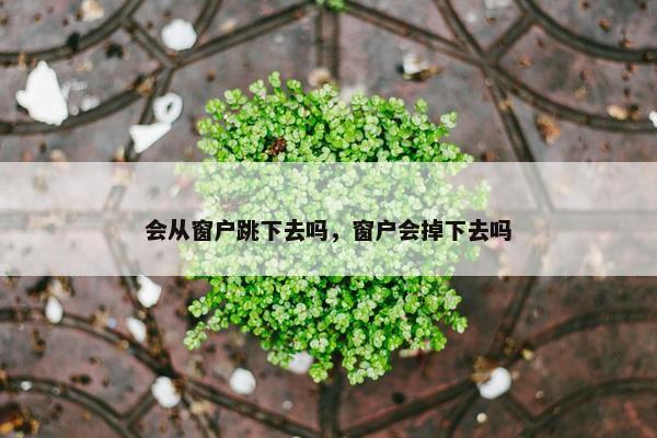 会从窗户跳下去吗，窗户会掉下去吗