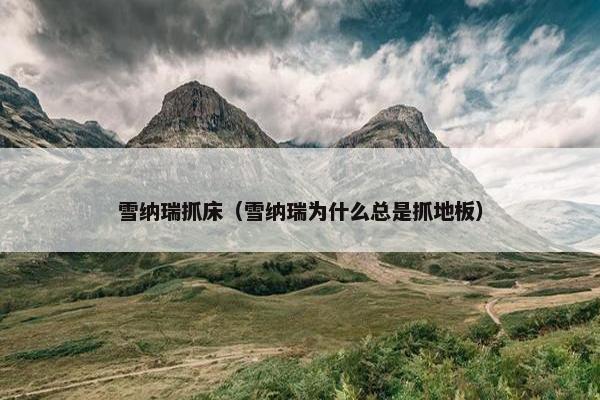 雪纳瑞抓床（雪纳瑞为什么总是抓地板）