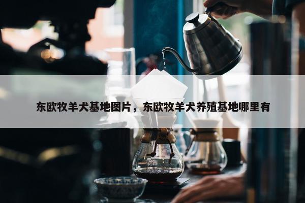 东欧牧羊犬基地图片，东欧牧羊犬养殖基地哪里有