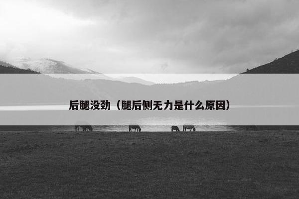 后腿没劲（腿后侧无力是什么原因）