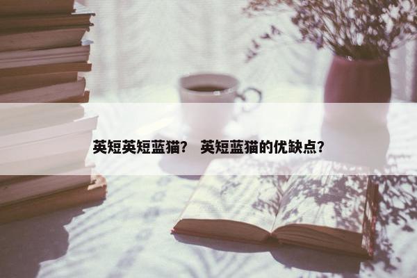 英短英短蓝猫？ 英短蓝猫的优缺点？