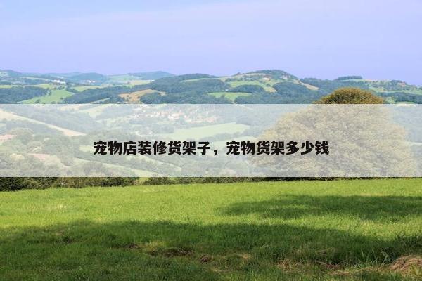 宠物店装修货架子，宠物货架多少钱