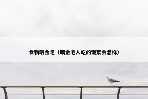 食物喂金毛（喂金毛人吃的饭菜会怎样）