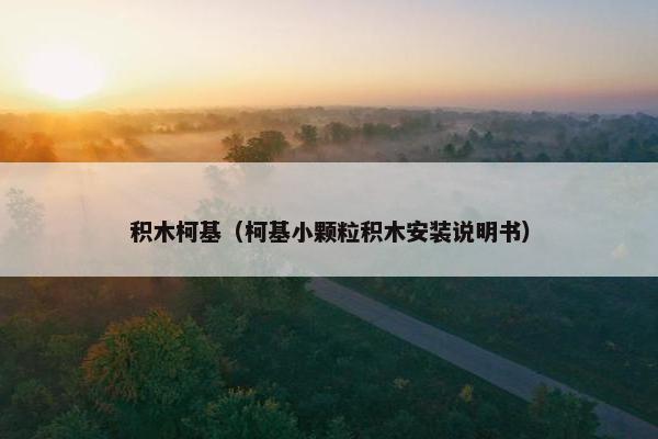 积木柯基（柯基小颗粒积木安装说明书）