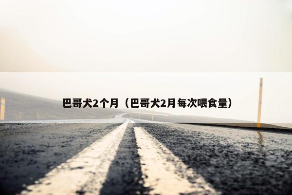 巴哥犬2个月（巴哥犬2月每次喂食量）
