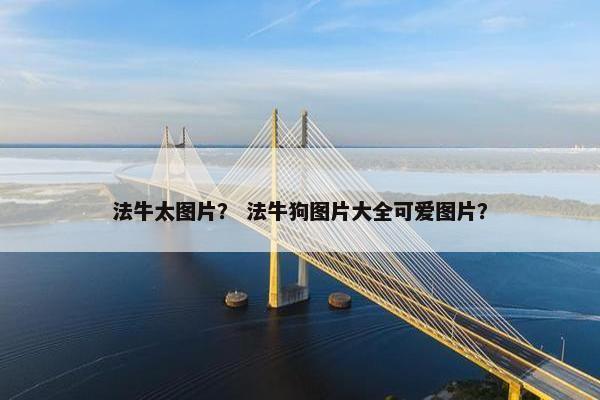 法牛太图片？ 法牛狗图片大全可爱图片？
