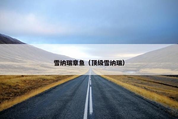 雪纳瑞章鱼（顶级雪纳瑞）