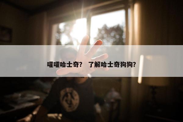 嚯嚯哈士奇？ 了解哈士奇狗狗？