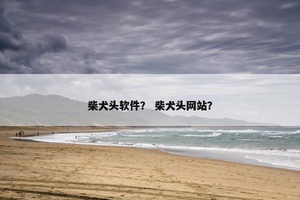 柴犬头软件？ 柴犬头网站？