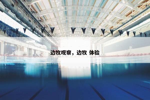 边牧观察，边牧 体验