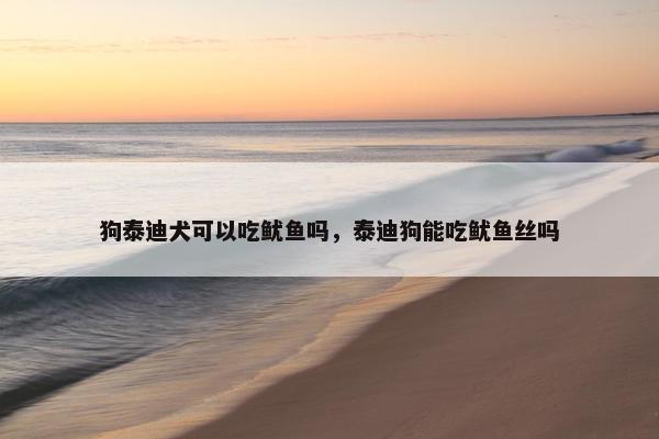 狗泰迪犬可以吃鱿鱼吗，泰迪狗能吃鱿鱼丝吗