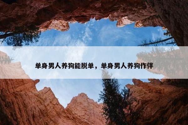 单身男人养狗能脱单，单身男人养狗作伴