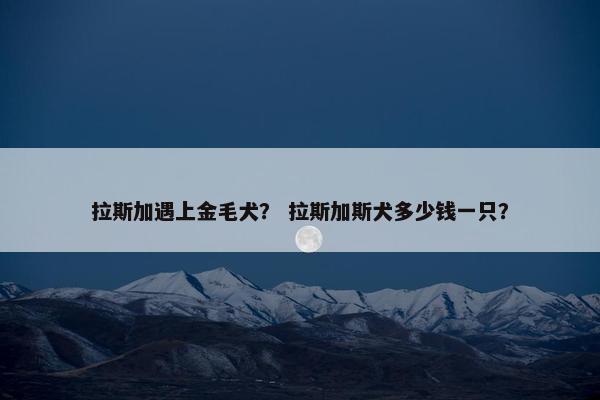 拉斯加遇上金毛犬？ 拉斯加斯犬多少钱一只？