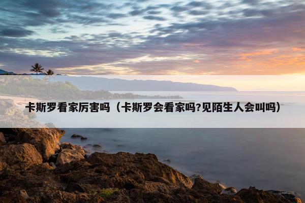 卡斯罗看家厉害吗（卡斯罗会看家吗?见陌生人会叫吗）