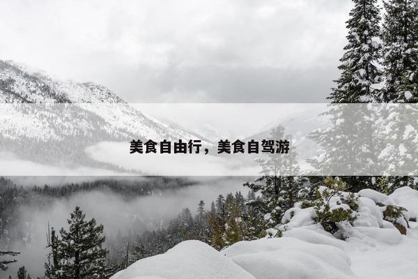 美食自由行，美食自驾游