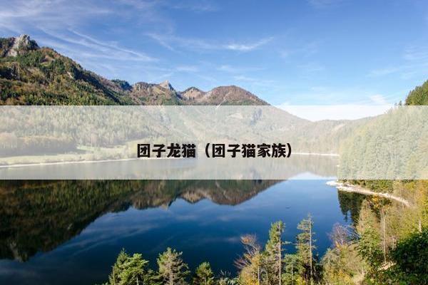 团子龙猫（团子猫家族）
