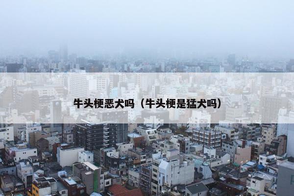 牛头梗恶犬吗（牛头梗是猛犬吗）