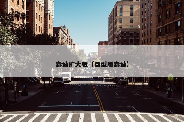 泰迪扩大版（巨型版泰迪）