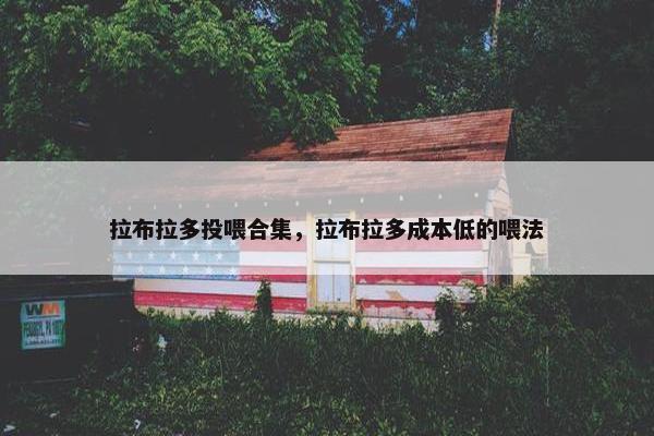 拉布拉多投喂合集，拉布拉多成本低的喂法