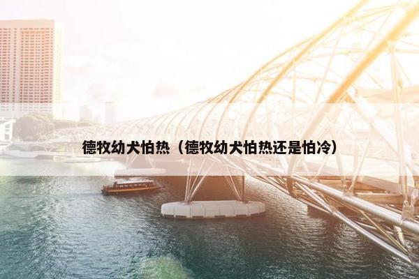 德牧幼犬怕热（德牧幼犬怕热还是怕冷）