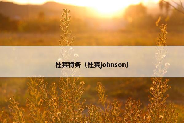 杜宾特务（杜宾johnson）