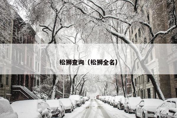 松狮查询（松狮全名）