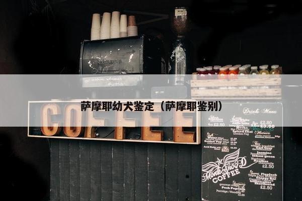 萨摩耶幼犬鉴定（萨摩耶鉴别）