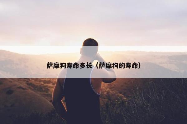 萨摩狗寿命多长（萨摩狗的寿命）