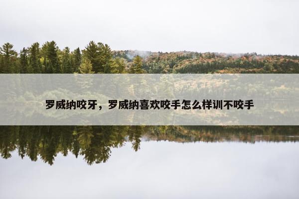 罗威纳咬牙，罗威纳喜欢咬手怎么样训不咬手