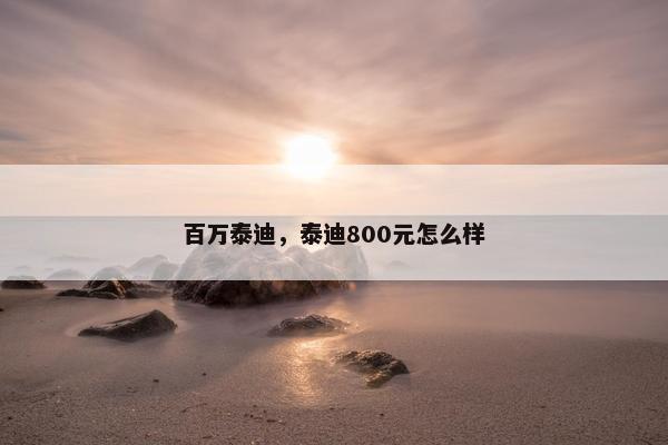 百万泰迪，泰迪800元怎么样