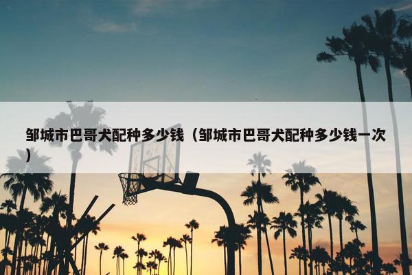邹城市巴哥犬配种多少钱（邹城市巴哥犬配种多少钱一次）