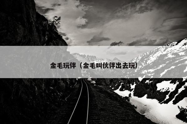 金毛玩伴（金毛叫伙伴出去玩）