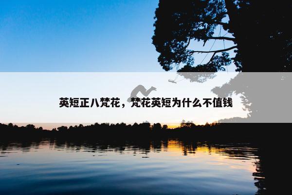 英短正八梵花，梵花英短为什么不值钱