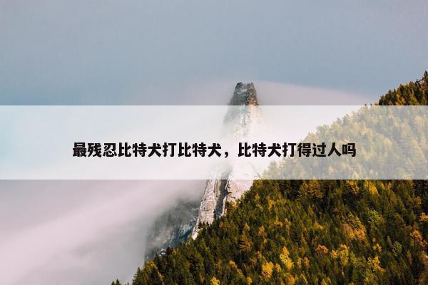 最残忍比特犬打比特犬，比特犬打得过人吗
