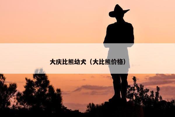 大庆比熊幼犬（大比熊价格）