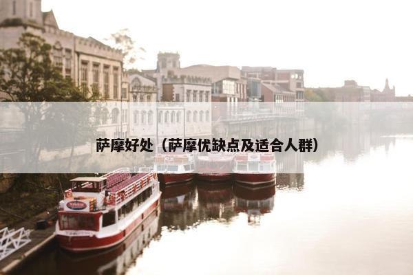 萨摩好处（萨摩优缺点及适合人群）