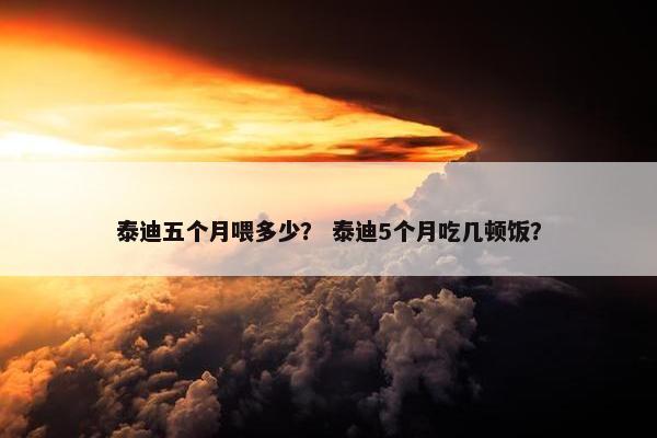 泰迪五个月喂多少？ 泰迪5个月吃几顿饭？