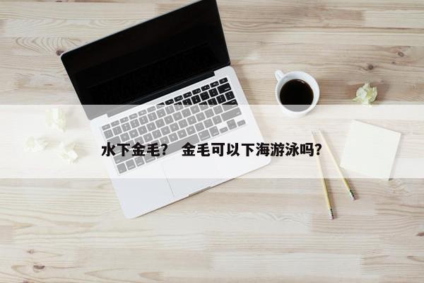 水下金毛？ 金毛可以下海游泳吗？